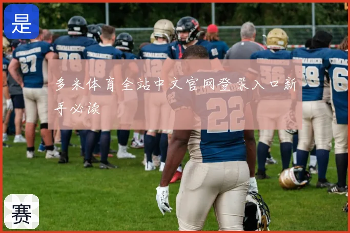 多米体育全站中文官网登录入口新手必读